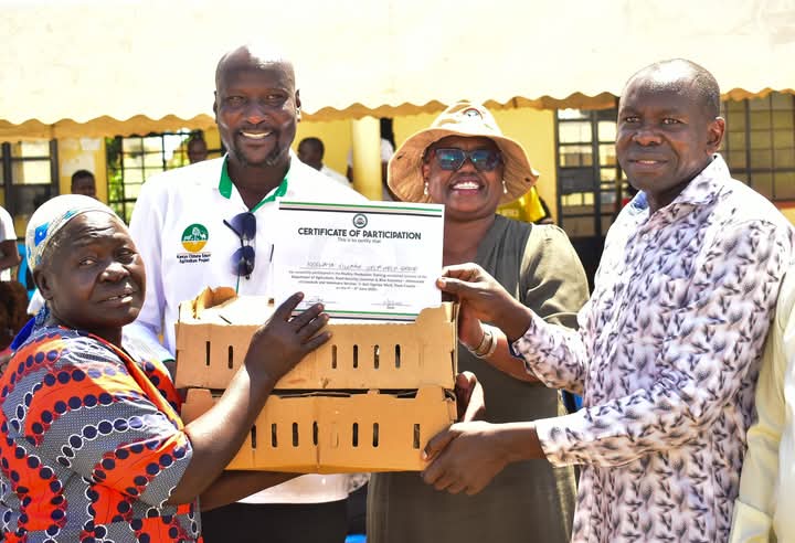 Orengo Empowers Ugenya Residents with 10000 Vaccinated Month-old Chicks