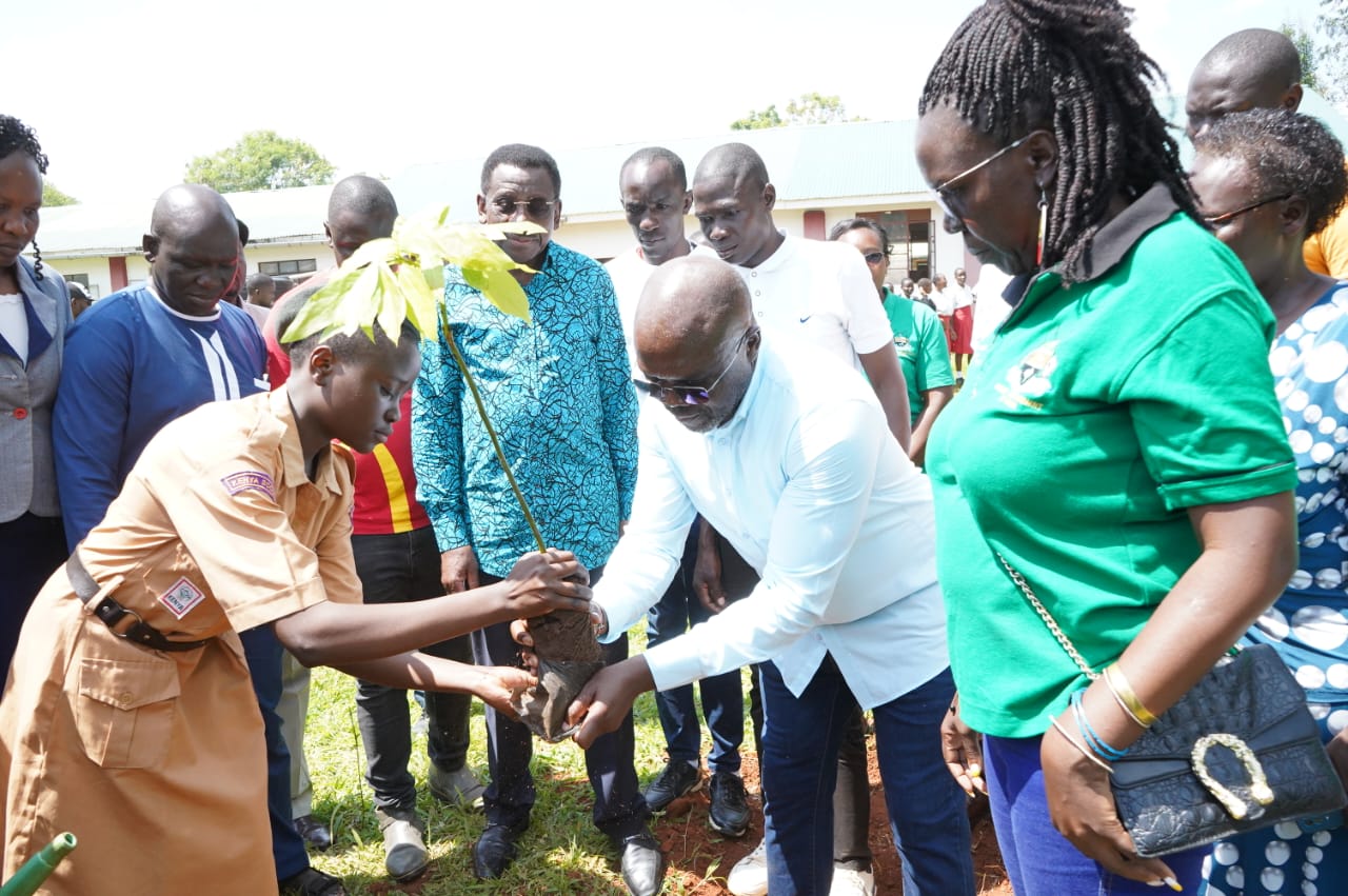 Orengo’s Big Boost to Avocado Farmers in Ugenya