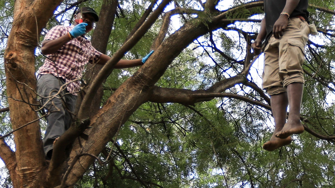 Siaya Man Hangs Self Over Unfair Share in Sister’s Dowry