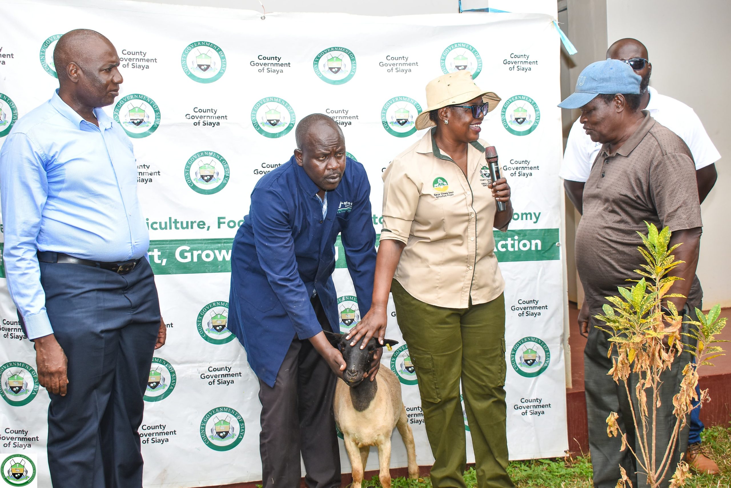 Nyalore Administration Launches Livestock Boost with High-Yield Sheep Distribution