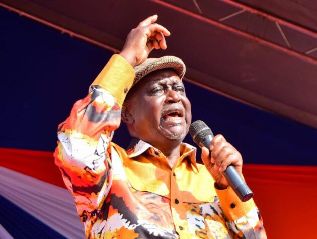 We Did Not Chase Sifuna from ODM Party — Oburu Oginga