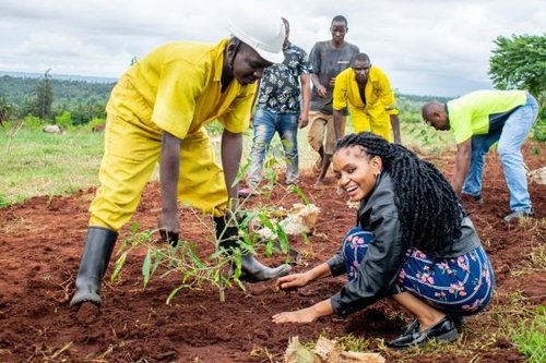 Kenyan Farmers Set to Cash In: New Carbon Registry Promises Fair Pay for Every Tree Planted