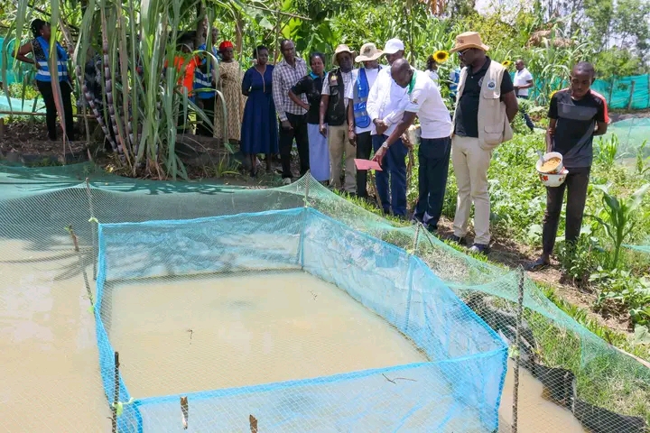 Siaya Farmers Turning Grants into Gold